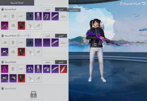 حساب ببجي للبيع 335