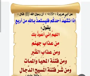 Mohammed Malik 