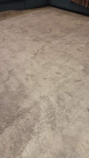 قطعتين موكيت