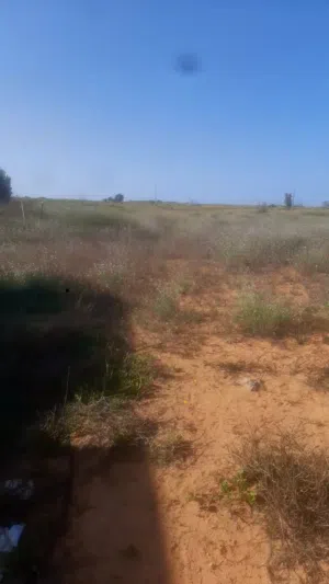 Farm Land for Sale in Sirte Al-Amera