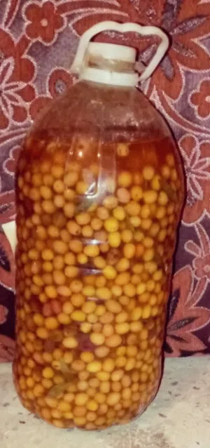 سلام عليكم للبيع زيتون أحمر