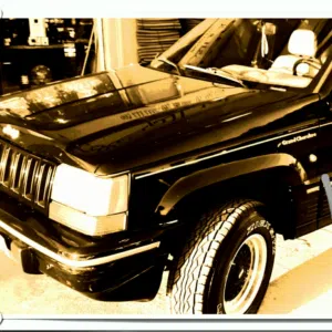 خليها بالنصيب 