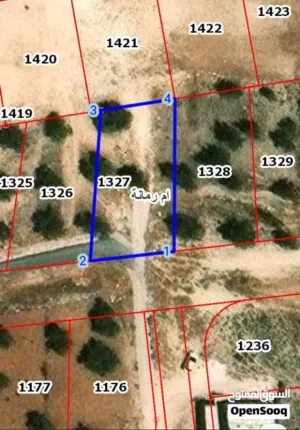 Residential Land for Sale in Zarqa Um Rummanah
