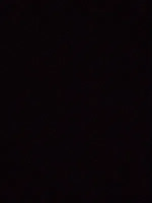 أنواع الحمام