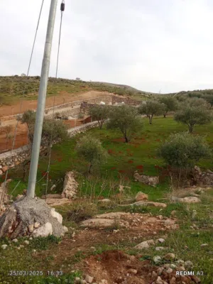 Farm Land for Sale in Zarqa Birayn