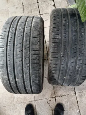 جوز كوشوك نظيف 295 /40