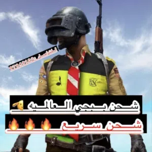 شحن شدات ببجي سريع