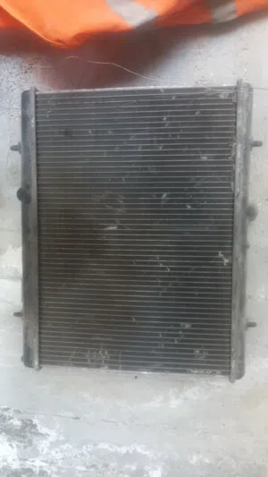 رديتر بيجو 2009