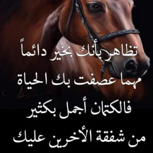 رامي رامي
