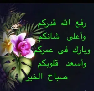 فارس العموش 