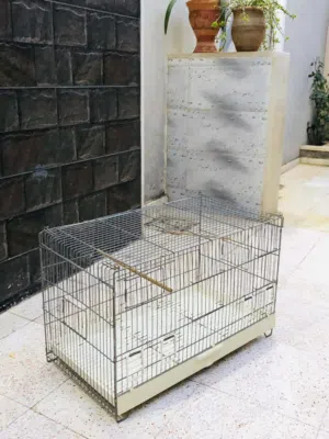 قفص و سلاكه