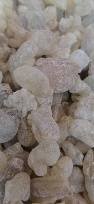 Top-quality Hojari frankincense for treatment, food, and drink, number one
