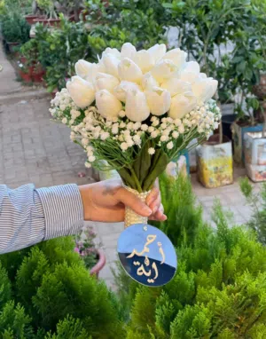 مسكات العروس
