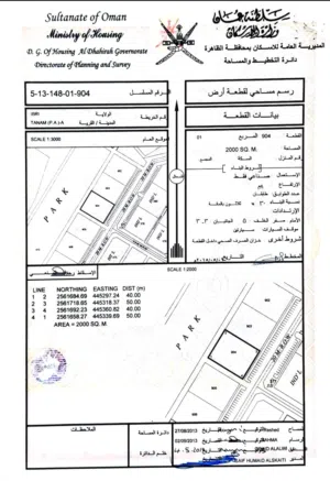 ارض صناعية في تنعم