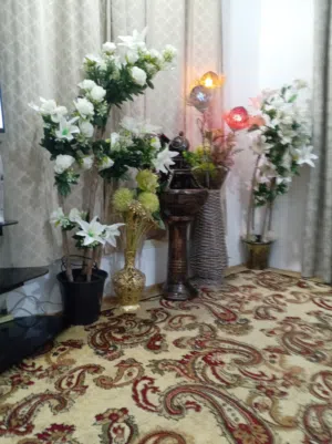 شقه للايجار شهر  واحد أو دائم مع شراء لأغراض