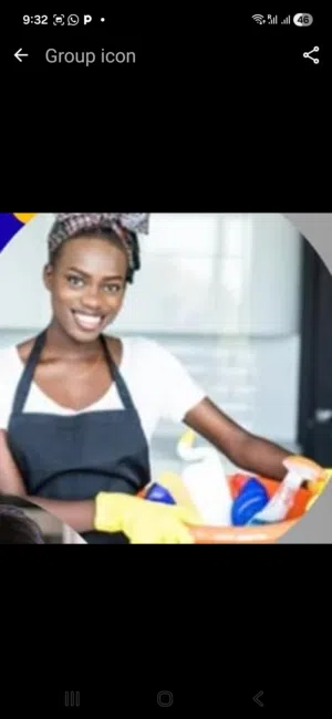 cleaning services