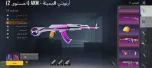 Pubg Accounts and Characters for Sale in Sabratha