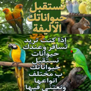 إذا كنت تبغى تسافر نقدر نعتني ب حيواناتك شوف الوصف