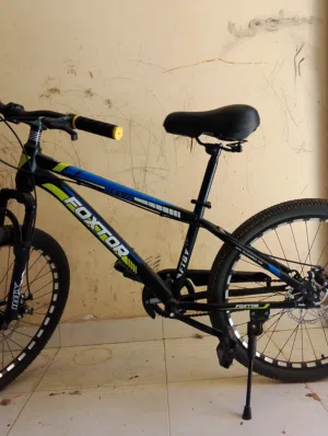 bicycle original