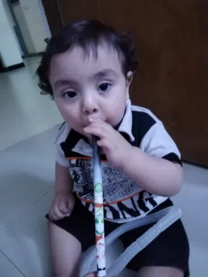 شاهين 