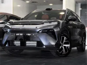 BYD Model:Tang L DM-P 7-Seater Plug_In   Hybrid AWD 2025 Size L