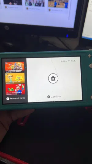 Nintendo switch lite