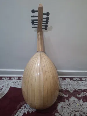 عود مصري جديد