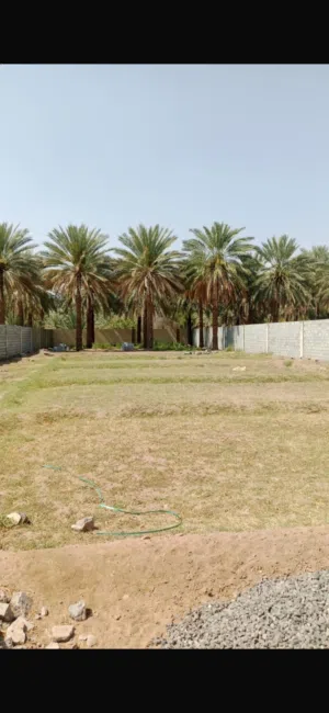 Farm Land for Rent in Al Dakhiliya Nizwa