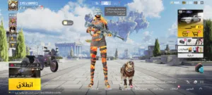 Pubg Accounts and Characters for Sale in Hebron