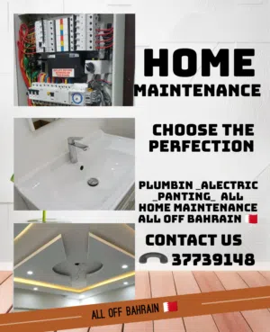 Plumbing Electric all home maintenance