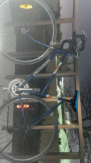 sport bicycle / road bicycle