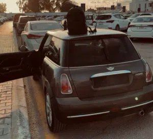 مسعود 