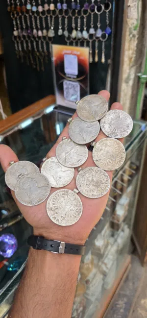 عملات فرنسي فضه جملة_وتجزئة