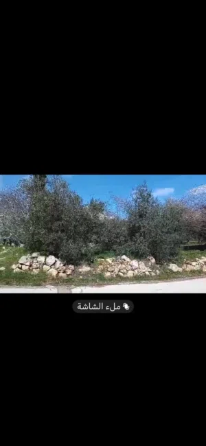 Mixed Use Land for Sale in Hebron Dura