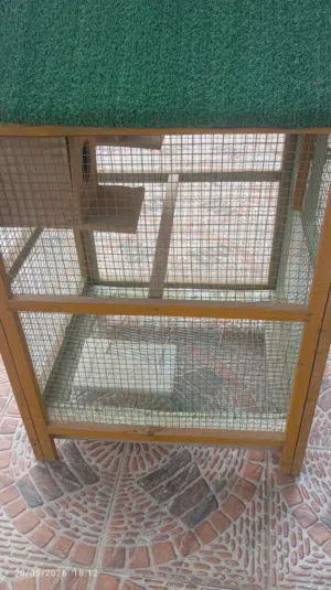 قفص طيور للبيع