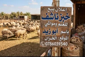 شوالات خبز ناشف