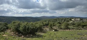 Residential Land for Sale in Ajloun A'fna