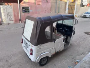 تكتك 2022 باجات بيضه