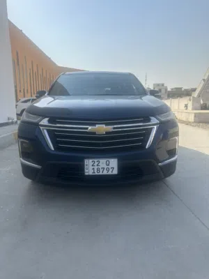 ترافرس 23 بدون صبغ