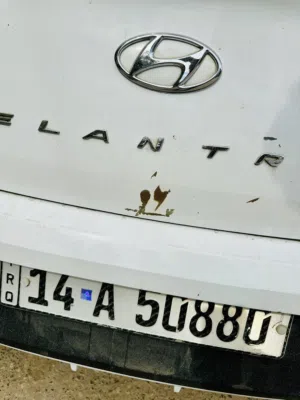 Used Hyundai Elantra in Basra