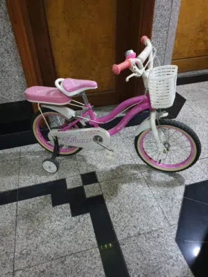 bicycle & scooter