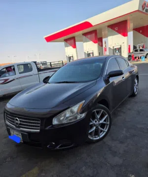NISSAN MAXIMA -2010 - FAMILY USED CAR SALE