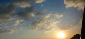 الناصر محيسن 