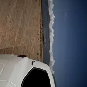 تفضل 