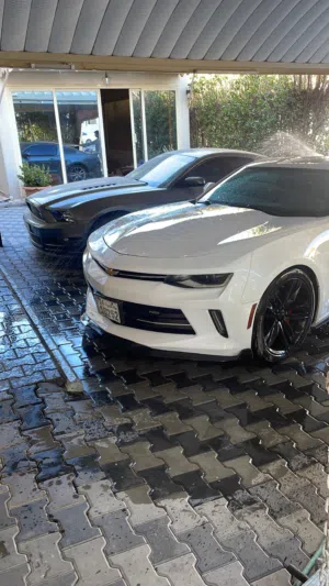 كمارو rs استعمال يومي
