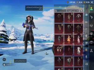 حساب ببجي للبيع