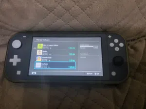 Nintendo Switch Lite Gray + FIFA Game And More ([Without Charger]).