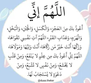 محمدالهاني 
