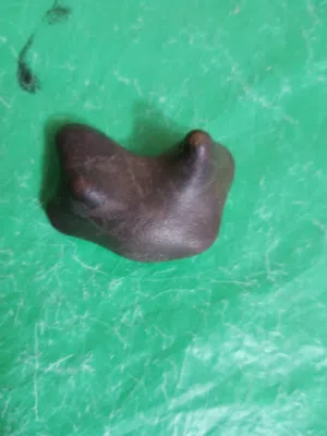 حجار سلطاني