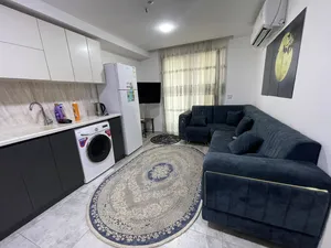 73 m2 1 Bedroom Apartments for Rent in Erbil Sarbasti